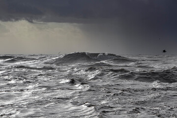 Dark seascape before storm