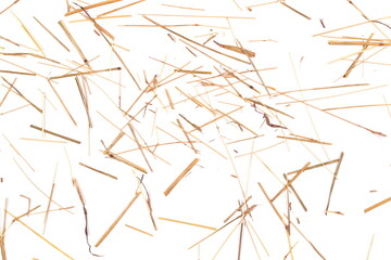 Dry yellow grass pile isolated on white background, top view