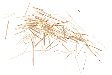 Dry yellow grass pile isolated on white background, top view