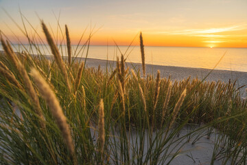 Sunset at sandy beach on Baltic sea. Sandy dune with grass on the sea coast at sunset