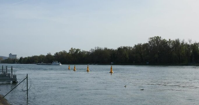 Grand Canal d'Alsace. Navigation. P&eacute;niche sur le Rhin en direction de B&acirc;le, passage d'aval en amont de l'&iuml;le sur le Rhin et des Trois Fronti&egrave;res 