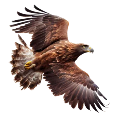 Schilderijen op glas golden eagle in flight AI generative © I LOVE PNG