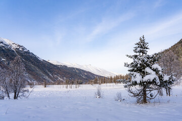 winter landscape with snow