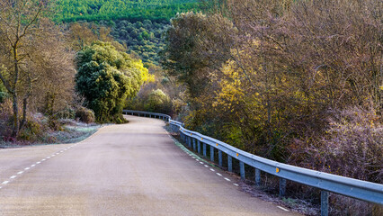 Mountain road between the golden trees with the colors of autumn and winter.