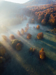 Autumn dawn over foggy forest at suntise. Aerial drone view. 