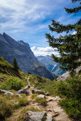 Mountain landscape in French alps