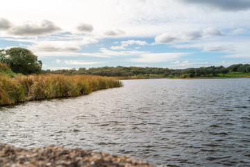 wetland in spring with sunset clouds and lake with calm water