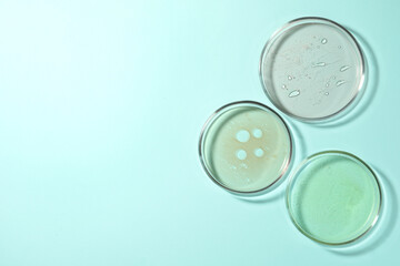 Petri dishes with liquids on turquoise background, flat lay. Space for text
