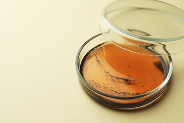 Petri dish with bacteria colony on beige background, closeup. Space for text