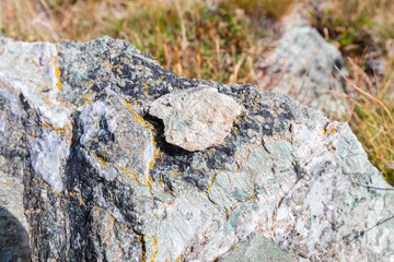Detail of asbestos vein sinuosity in its natural geological environment and asbestos fibers, mix of chrysotile and tremolite, Queyras, French Alps