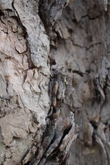 texture