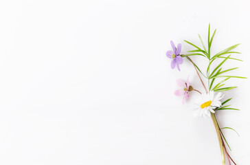 Spring frame of small flowers and daisies, flower arrangement