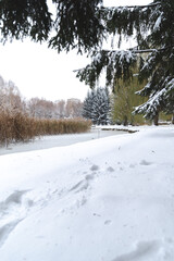 Winter landscape in a snowy park on a cloudy day