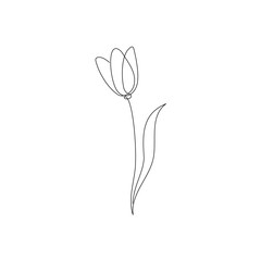 Line tulip flower art. One continuous line art decorative tulip flower draw. Editable stroke single element. Isolated vector illustration