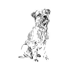 black and white drawing sketch of a dog with a transparent background for learning to color