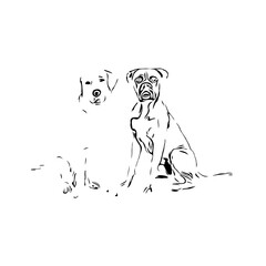 black and white drawing sketch of a dog with a transparent background for learning to color