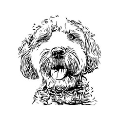 black and white drawing sketch of a dog with a transparent background for learning to color