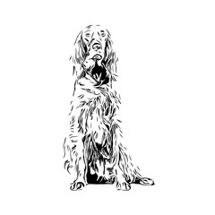black and white drawing sketch of a dog with a transparent background for learning to color