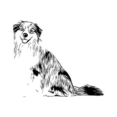 black and white drawing sketch of a dog with a transparent background for learning to color