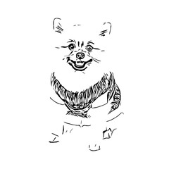 black and white drawing sketch of a dog with a transparent background for learning to color