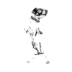 black and white drawing sketch of a dog with a transparent background for learning to color