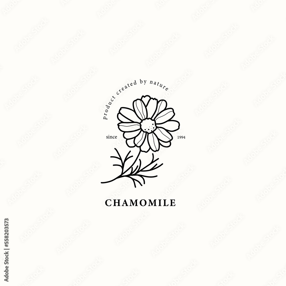 Wall mural Line art chamomile flower illustration