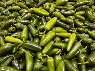 Pile of raw green jalapeno chili peppers on display at a grocery store market. Capsicum annuum pepper.
