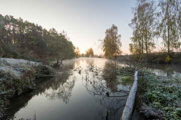 River bank in the morning in the fall with a snag in the water..