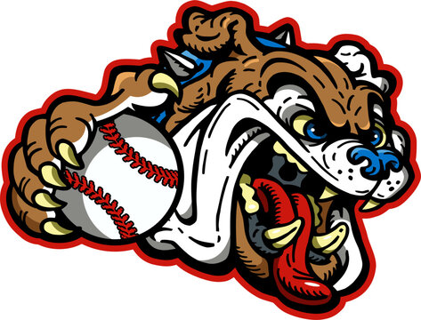 cartoon bulldog mascot holding baseball for school, college or league sports