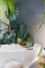 White bathroom with bathtub, green plants