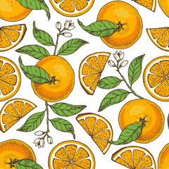 Orange fruit hand drawn design. Seamless pattern. Vector illustration. Design, package, brochure illustration. Orange fruit background. Design for packaging design and other.