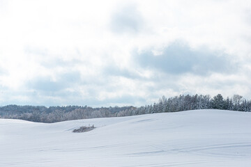 Winter scene of snow covered field and trees.