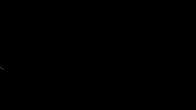 Cheetah Run Transparent Alpha Video Animation