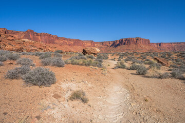 hiking the murphy trail loop in the island in the sky in canyonlands national park, usa