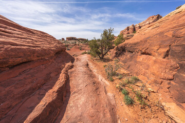Fototapeta premium hiking the chesler park loop trail in the needles in canyonlands national park, usa