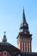 Birds flying high you know how I feel, Subotica City Hall tower