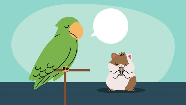 cute parrot and guinea pig characters animation