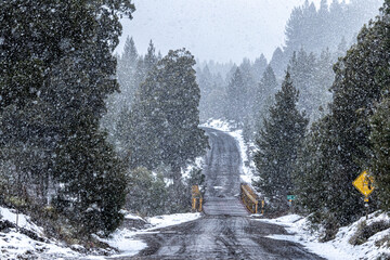 Fototapeta premium lluvia blanca