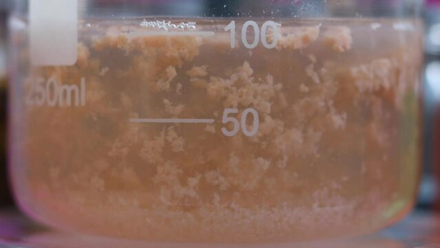 A slow physicochemical process of precipitation of heavy water-insoluble manganese sulfide particles at the bottom of a chemical beaker.