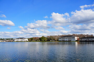 The colorful winter leaf landscape in Florida