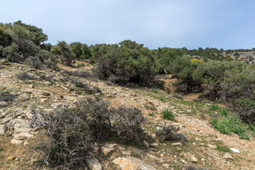 Landscape of coastline of Thassos island, Greece