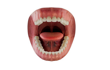 Photorealistic human mouth. 3D illustration. Caries damage. Bacterias and viruses around the tooth. Isolated background.