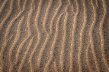 Cape Verde Sands