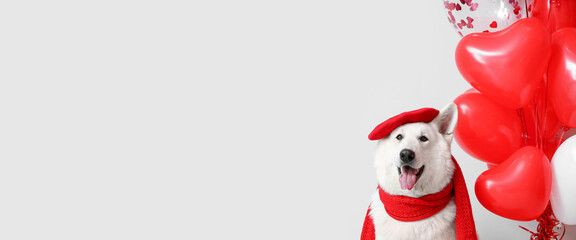 Funny dog in beret, scarf and with balloons on light background with space for text. Valentine's Day celebration