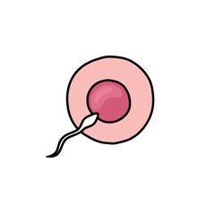 ovum and sperm doodle icon, vector color line illustration