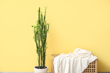 Green cactus and wooden table with plaid near yellow wall
