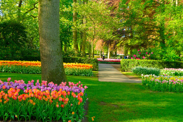 fresh spring lawn with blooming colorful flowers and green tree in formal garden