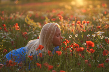 A blonde girl smells flowers in a poppy field at sunset.