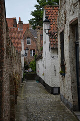 Narrow street in the middle of Brugge