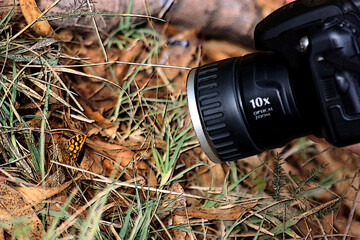 fotografando a natureza